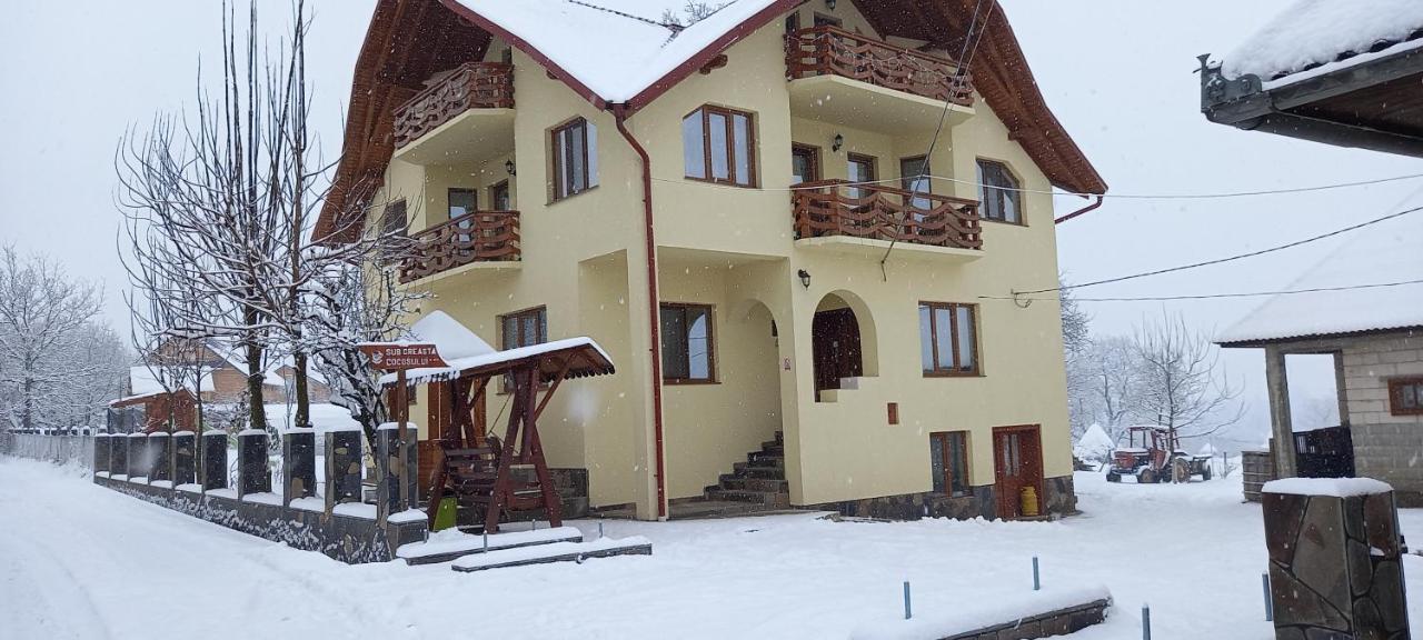Sub Creasta Cocosului Otel Breb Dış mekan fotoğraf