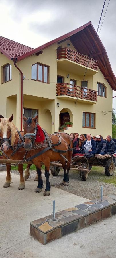 Sub Creasta Cocosului Otel Breb Dış mekan fotoğraf