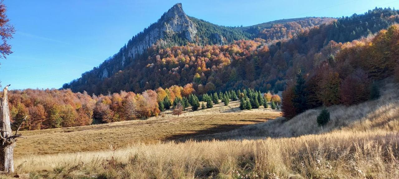 Sub Creasta Cocosului Otel Breb Dış mekan fotoğraf