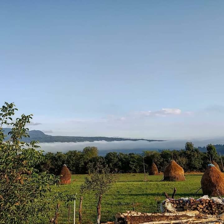 Sub Creasta Cocosului Otel Breb Dış mekan fotoğraf