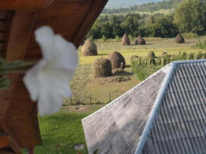 Sub Creasta Cocosului Otel Breb Dış mekan fotoğraf